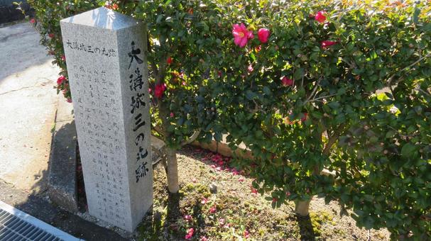 大溝城　三の丸跡　石碑　山茶花 大溝城,高島城,お城の写真素材