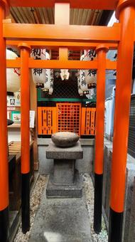 Photo, ohatsu tenjin, hozenji-tempel, osaka, 