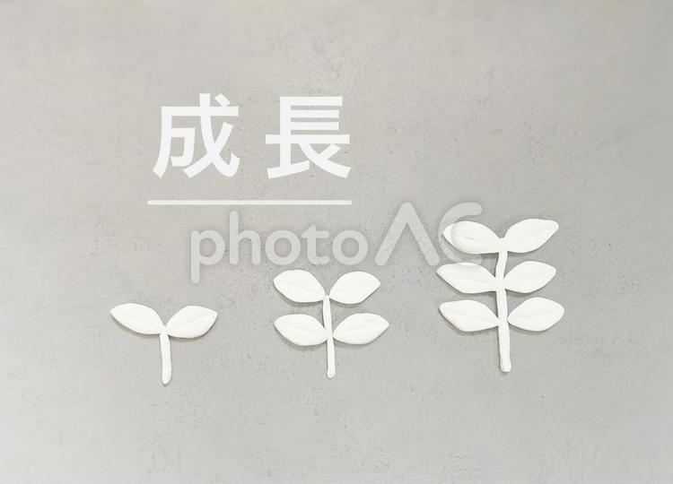 成長、伸びる、増える（明るめ） 成長,growing,upの写真素材