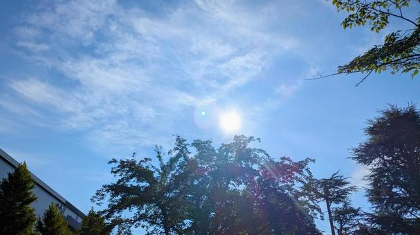 森の中に構えた工場と太陽光の写真