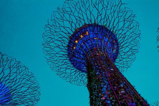 【シンガポール】スーパーツリー ガーデンズバイザベイ,スーパーツリー,植物園の写真素材
