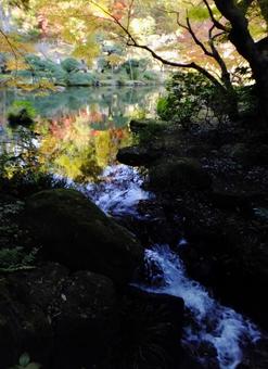 <千葉県>成田山公園(紅葉) <千葉県>成田山公園(紅葉) 成田山,龍智池,紅葉の写真素材