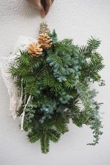 スワッグ（指有り） スワッグ,もみの木,コニファーの写真素材