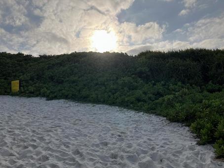 砂山ビーチ 砂山ビーチの写真