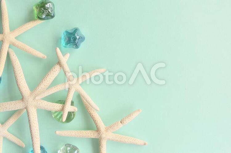 夏のイメージとヒトデの背景素材 貝殻,貝がら,介殻の写真素材