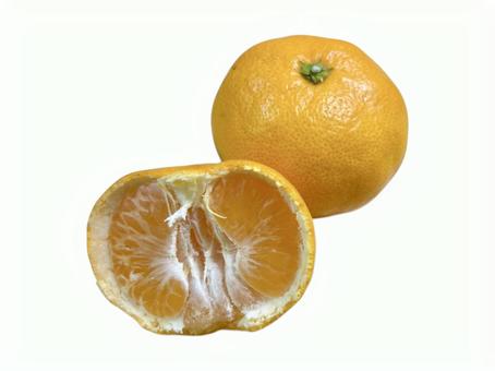 みかん フルーツ,果実,甘いの写真素材