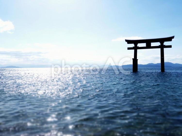琵琶湖の白鬚神社2 神社,鳥居,白鬚神社の写真素材