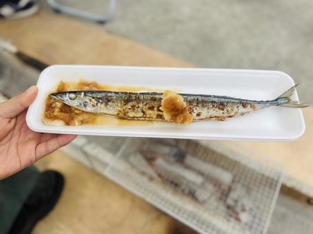 さんま　炭火焼き　秋の写真
