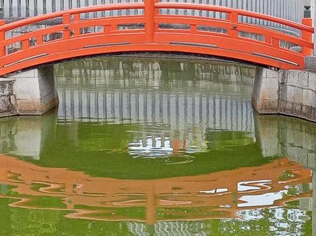 百舌鳥八幡宮 百舌鳥八幡宮の写真
