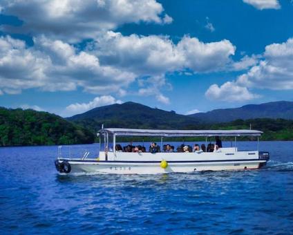 西表島観光の写真