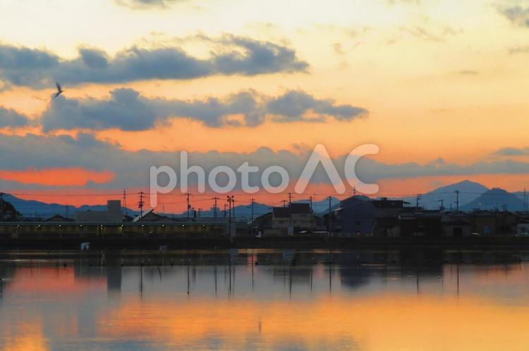 １０月下旬の大池からの朝焼け 背景,朝焼け,たそがれの写真素材