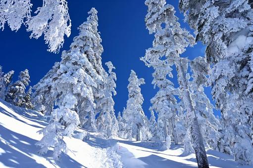 雪山 雪山,冬,樹氷の写真素材