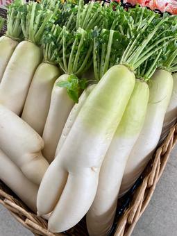 二股になった大根 大根,青首大根,野菜の写真素材
