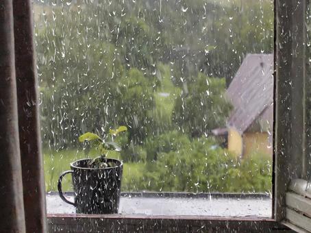 雨に濡れた窓ガラス・景色 雨に濡れた窓ガラス・景色の写真