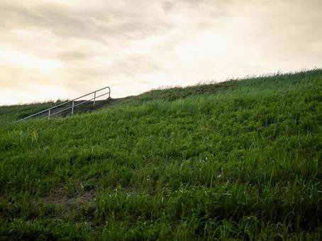 たそがれの草の斜面 草,緑,斜面の写真素材