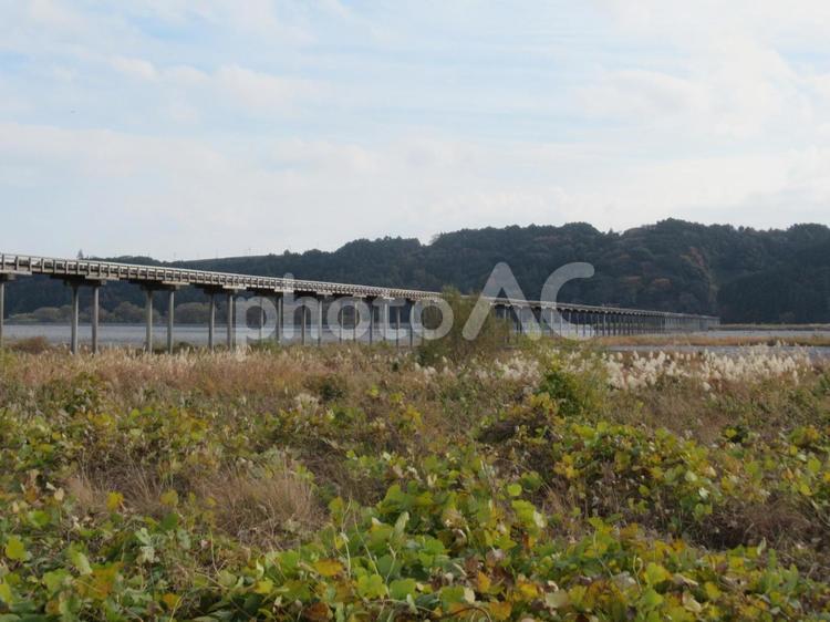 ギネス認定の世界一長い木造歩道橋の蓬莱橋 蓬莱橋,木造,歩道橋の写真素材