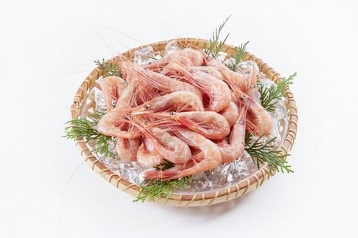 甘エビ【北海道産】 甘エビ【北海道産】 甘エビ,甘海老,北海道産の写真素材