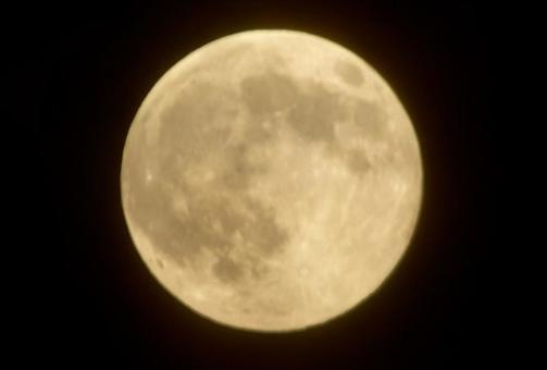 2025年11月5日夜のスーパームーン スーパームーン,2025年11月5日,夜空の写真素材