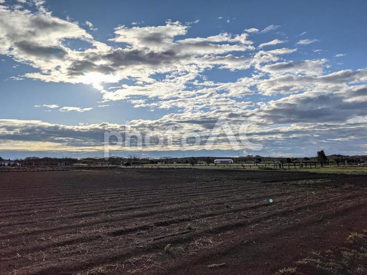 畑と空 自然,風景,景色の写真素材