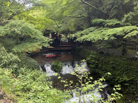 貴船川 貴船,川,京都の写真素材
