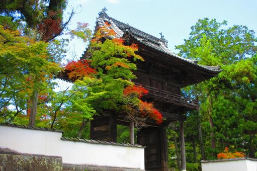 岡山県-井山宝福寺-山門 岡山県-井山宝福寺-山門 宝福寺,寺,井山の写真素材