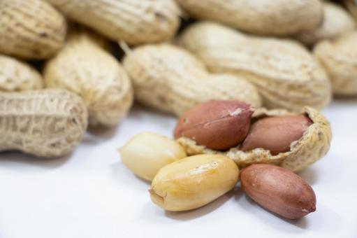 落花生 落花生,ピーナッツ,おつまみの写真素材