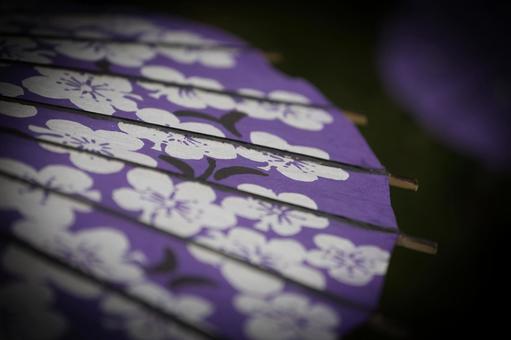 和傘 和傘,傘,模様の写真素材