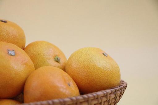 橘子 (4) 橘子 (4)