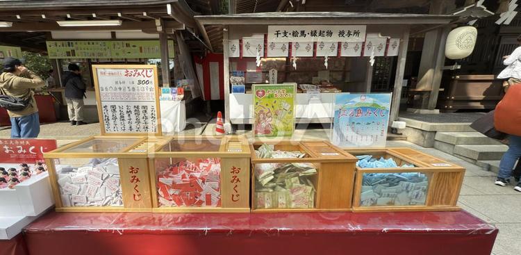 神社のおみくじ おみくじ,江の島神社,結ぶの写真素材