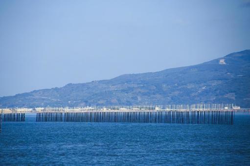 熊本県宇土市 海苔の養殖風景 熊本県宇土市 海苔の養殖風景 養殖,海苔,海藻の写真素材