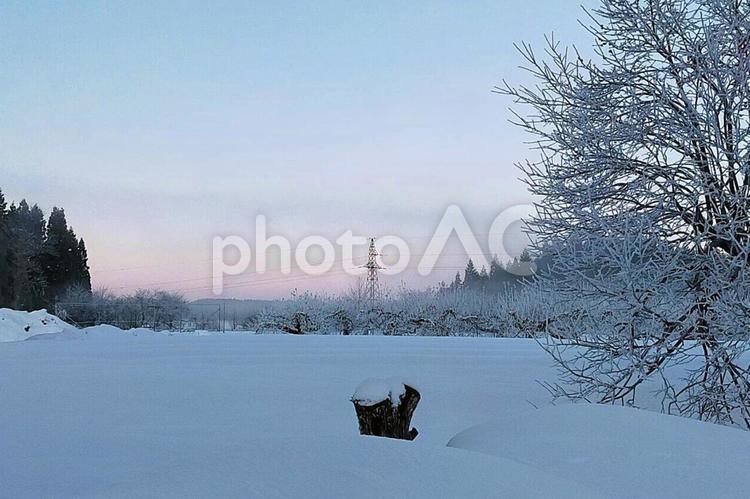 1月の里山13 里山,雪,積雪の写真素材