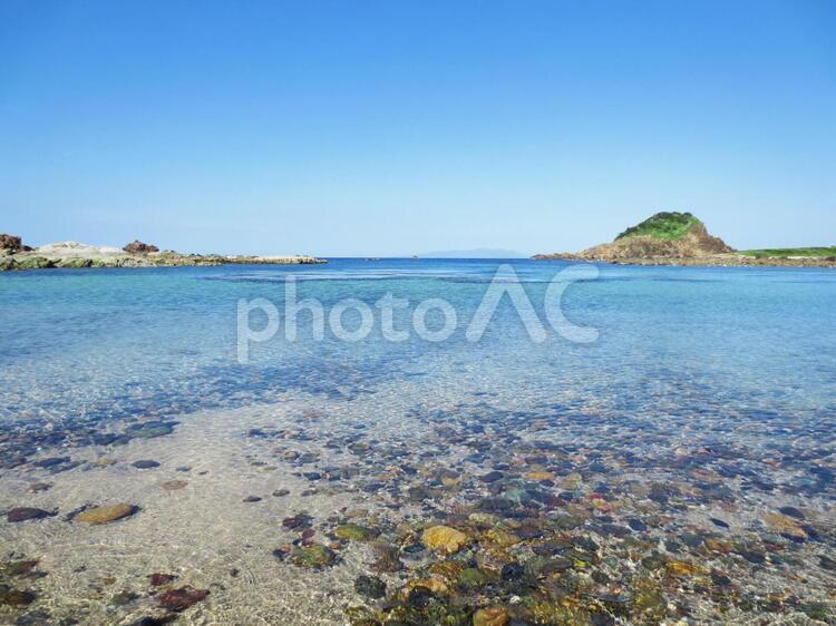 伊豆の海 海,海岸,透明の写真素材