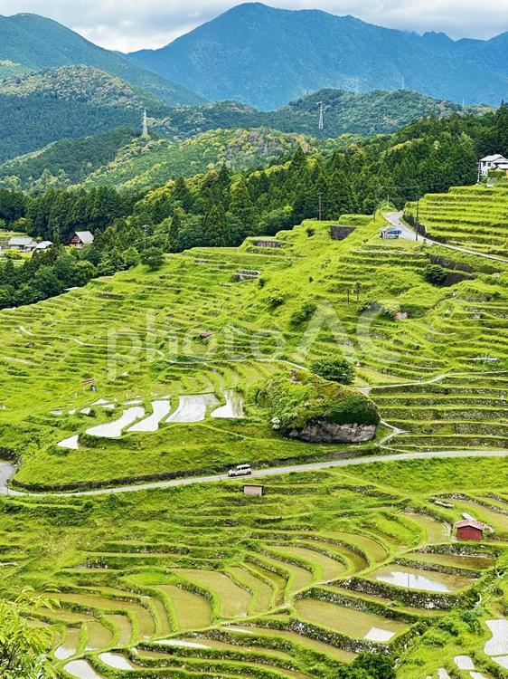 熊野　丸山千枚田 丸山千枚田,紀和町丸山地区,日本の棚田百選の写真素材