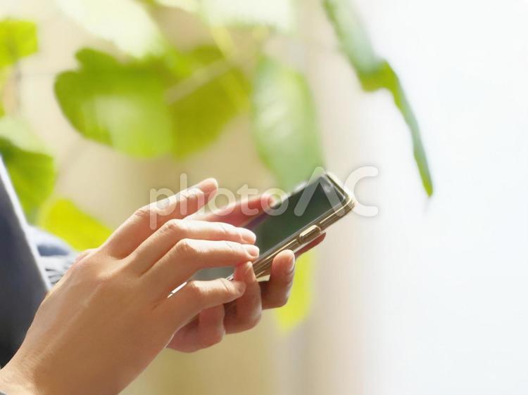 スマホを操作する女性 女性の手,いじる,触るの写真素材