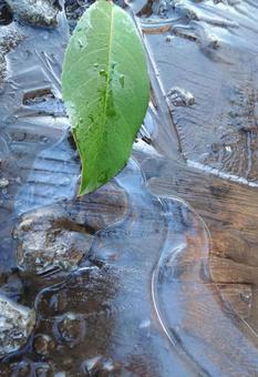 冬の朝 冬,早朝,初氷の写真素材