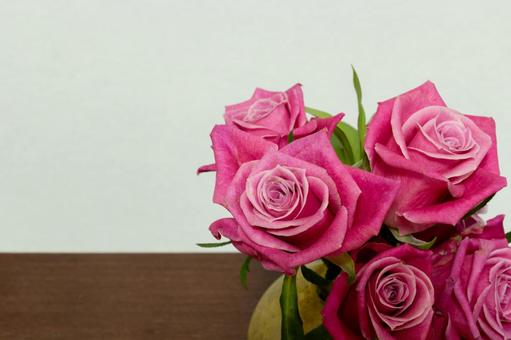 ピンク色のバラ 花,植物,ローズの写真素材