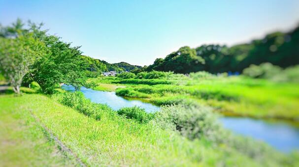 夏の川沿い 夏の川沿いの写真