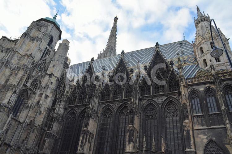 ウィーン・シュテファン大聖堂の外観 シュテファン寺院,シュテファン大聖堂,装飾の写真素材