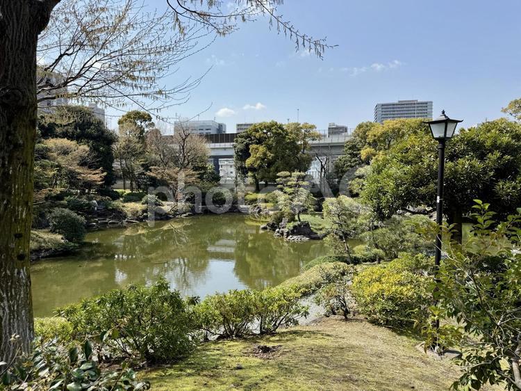 春の墨田区立旧安田庭園 ビル,侘び寂び,反射の写真素材