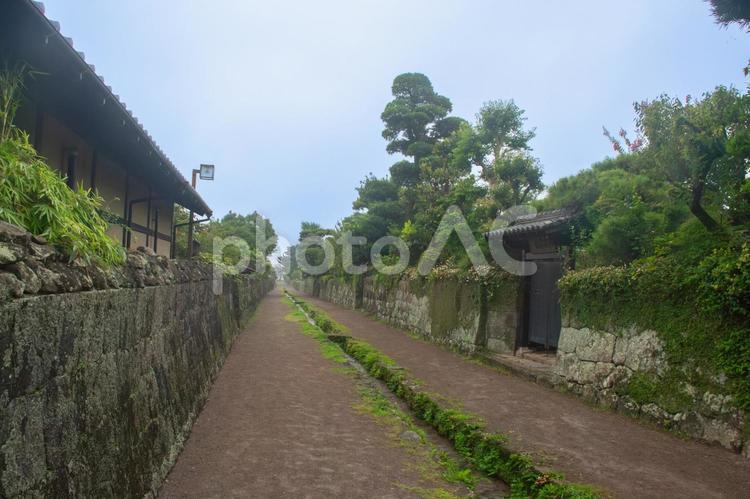 島原武家屋敷街 島原武家屋敷,風景,水路の写真素材