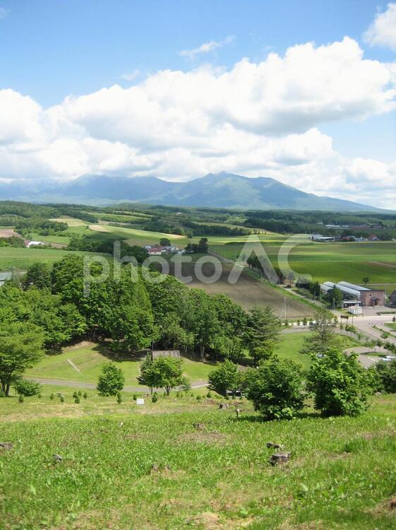 富良野の大地 富良野,北海道,大地の写真素材