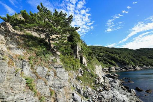 愛媛県伊方町 番匠鼻 愛媛県伊方町 番匠鼻 番匠鼻,岬,半島の写真素材
