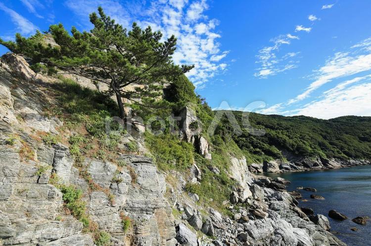 愛媛県伊方町　番匠鼻 番匠鼻,岬,半島の写真素材