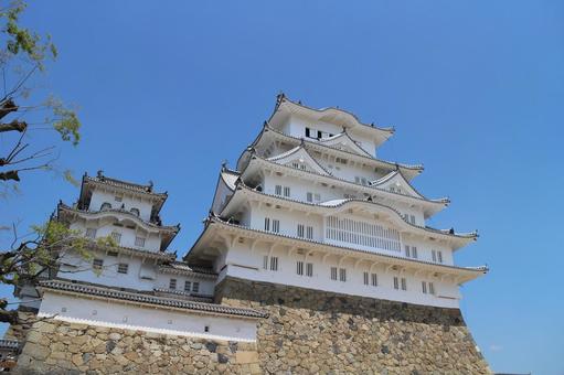 姫路城2015_6 姫路城2015_6 姫路城,白鷺城,日本100名城の写真素材
