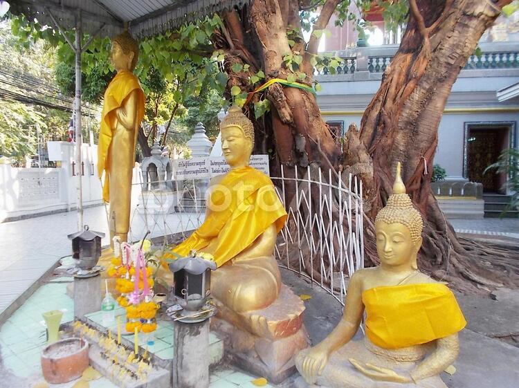 タイ・バンコクのお寺のブッダ像 thai,thailand,bangkokの写真素材