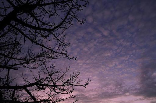 夕暮れ 空 夕暮れ 空の写真