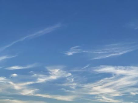 晴れた空 晴れた空の写真