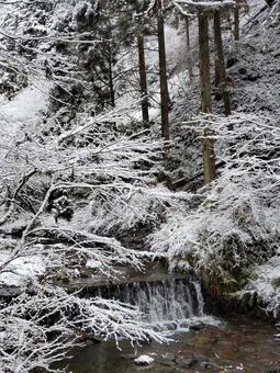 雪の貴船川【京都市左京区】 貴船川,貴船,京都の写真素材