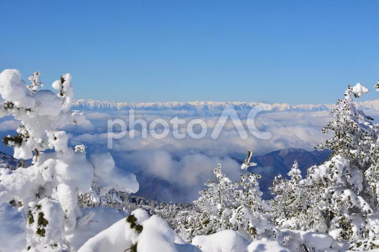 樹氷と北アルプス 北アルプス,後立山連峰,湯ノ丸山の写真素材