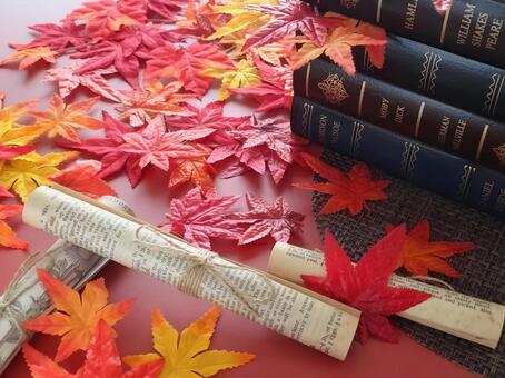 真っ赤なもみじと書類6 秋,紅葉,9月の写真素材